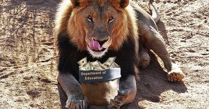 Lion eating Department of Education money