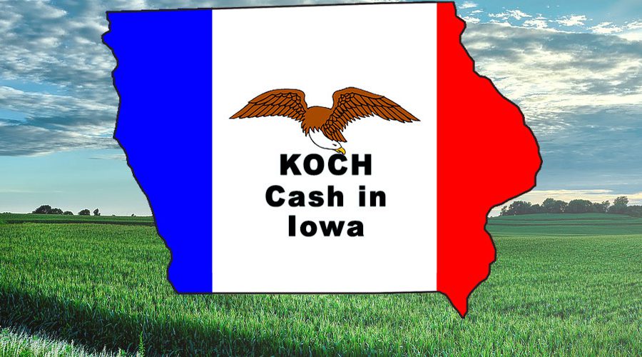 Koch cash in Iowa