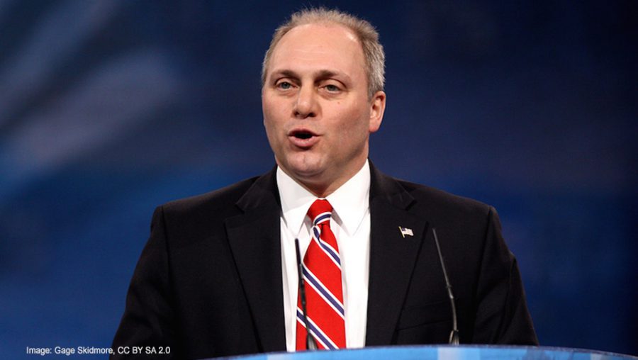 Steve Scalise - CC BY SA 2.0 Gage Skidmore