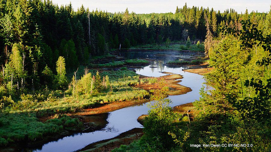 Ness Creek, Saskatchewan