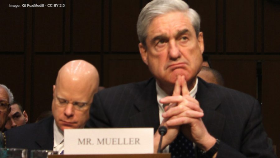 Robert Mueller - CC BY 2.0 Kit Fox/Medill