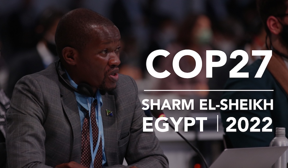 Dispatches From the COP27 Climate Talks in Egypt