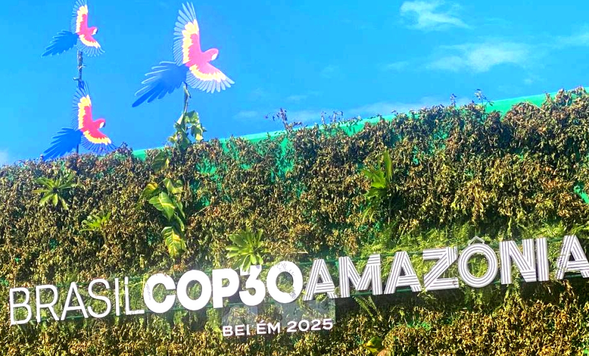 Dispatches From the COP30 Climate Talks in Brazil